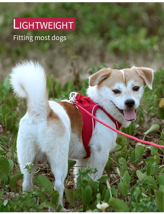 Adjustable Reflective Pet Harness with Matching Leash